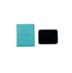 My Gemma TIFFANY & CO. Soleste Halo Pink Sapphire & Diamond Earrings In Platinum -Best Jewelry Store 138540 box