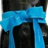 Style Tribute Dolce & Gabbana Women's Blue Waist Ribbon Wide Bow Belt 1 Style Tribute Dolce & Gabbana Women's Blue Waist Ribbon Wide Bow Belt -Best Jewelry Store 154403007