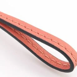 ELADY LOEWE Bag Charm Personalization Strap 111.SA.SAP Salmon Pink Leather Ladies Keychain Cube 10 ELADY LOEWE Bag Charm Personalization Strap 111.SA.SAP Salmon Pink Leather Ladies Keychain Cube -Best Jewelry Store 2000 cf3861e0 0376 427c 8a8f 14ee15884aaf