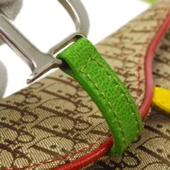 AMORE Vintage CHRISTIAN DIOR 2004 Rasta Trotter Saddle Belt Bag #85 10331 -Best Jewelry Store 20210329 10331 s 04