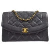 AMORE Vintage CHANEL 1994-1996 Tall Diana Flap Medium Black Caviar 17140 -Best Jewelry Store 20230206 17140 01