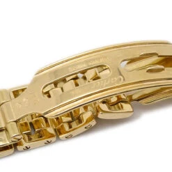 AMORE Vintage CARTIER Panthere Watch SM 29017 -Best Jewelry Store 20231122 29017 05