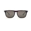Opherty Ciocci GUCCI Brown Acetate Gg0915S Horsebit Sunglasses 55/17 145Mm -Best Jewelry Store 2cfb5d14 3578 53f8 a40d 27e558f1ce17