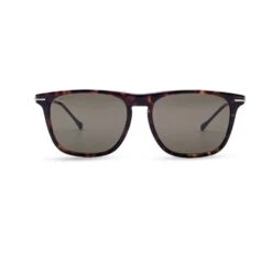 Opherty Ciocci GUCCI Brown Acetate Gg0915S Horsebit Sunglasses 55/17 145Mm