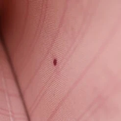 Brand Street LOUIS VUITTON Damier Azur Neverfull MM Pouch Pouch LV Auth 70919 32 Brand Street LOUIS VUITTON Damier Azur Neverfull MM Pouch Pouch LV Auth 70919 -Best Jewelry Store 70919 16