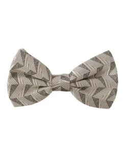 Style Tribute Dolce & Gabbana Men's Gray 100% Silk Adjustable Neck Papillon Bow Tie