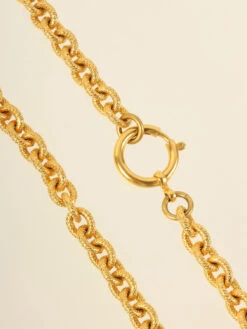 QOO Vintage CHANEL 1993 Made Round Cc Mark Plate Long Necklace Gold/Clear -Best Jewelry Store IMG 2369