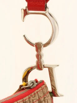 QOO Vintage DIOR Rasta Trotter Double Saddle Shoulder Bag Brown/Multi -Best Jewelry Store IMG 2434