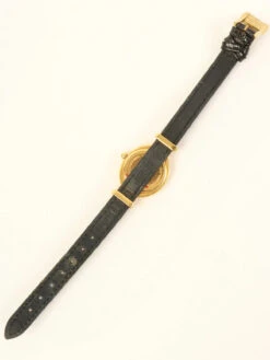 QOO Vintage FENDI Chameleon Changeable Belt Watch Gold/5Colors -Best Jewelry Store IMG 7421