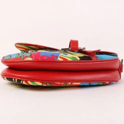 QOO Vintage DIOR Canvas Rasta Mania Saddle Bag Red/Multi -Best Jewelry Store IMG 9557 7e41418f d93b 4c47 851e 2b9b9dc7368c