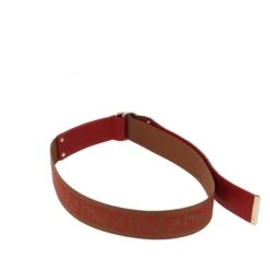 Fancy Lux FENDI Belt In Red Leather -Best Jewelry Store Photo002 21633d0b 0e28 4b3c 9915 8274ea48baf2